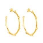 Brinco Dourado de Argola com Corrente Esferas e Pérolas